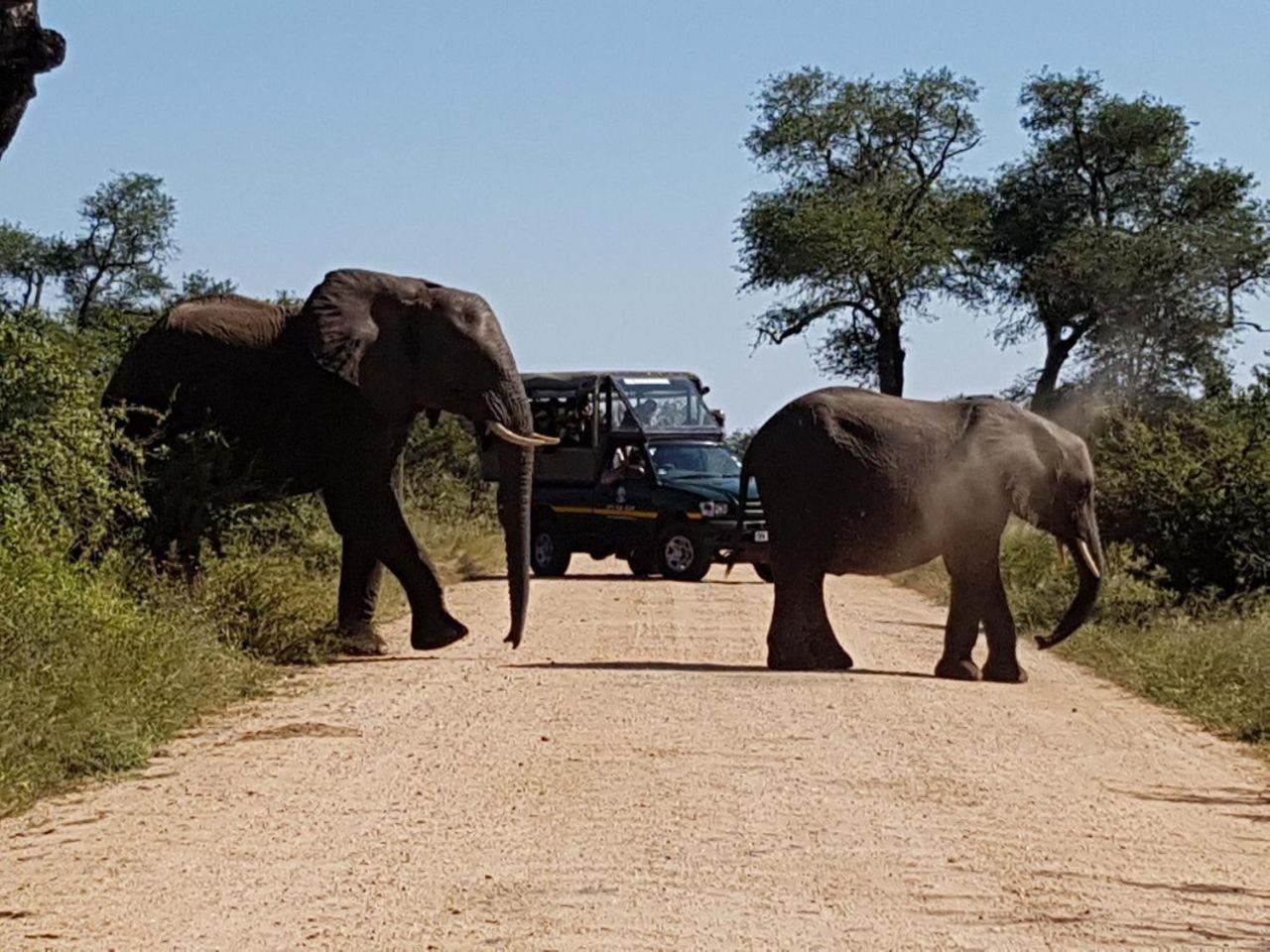 Ekhaya Bush Lodge Hoedspruit Buitenkant foto