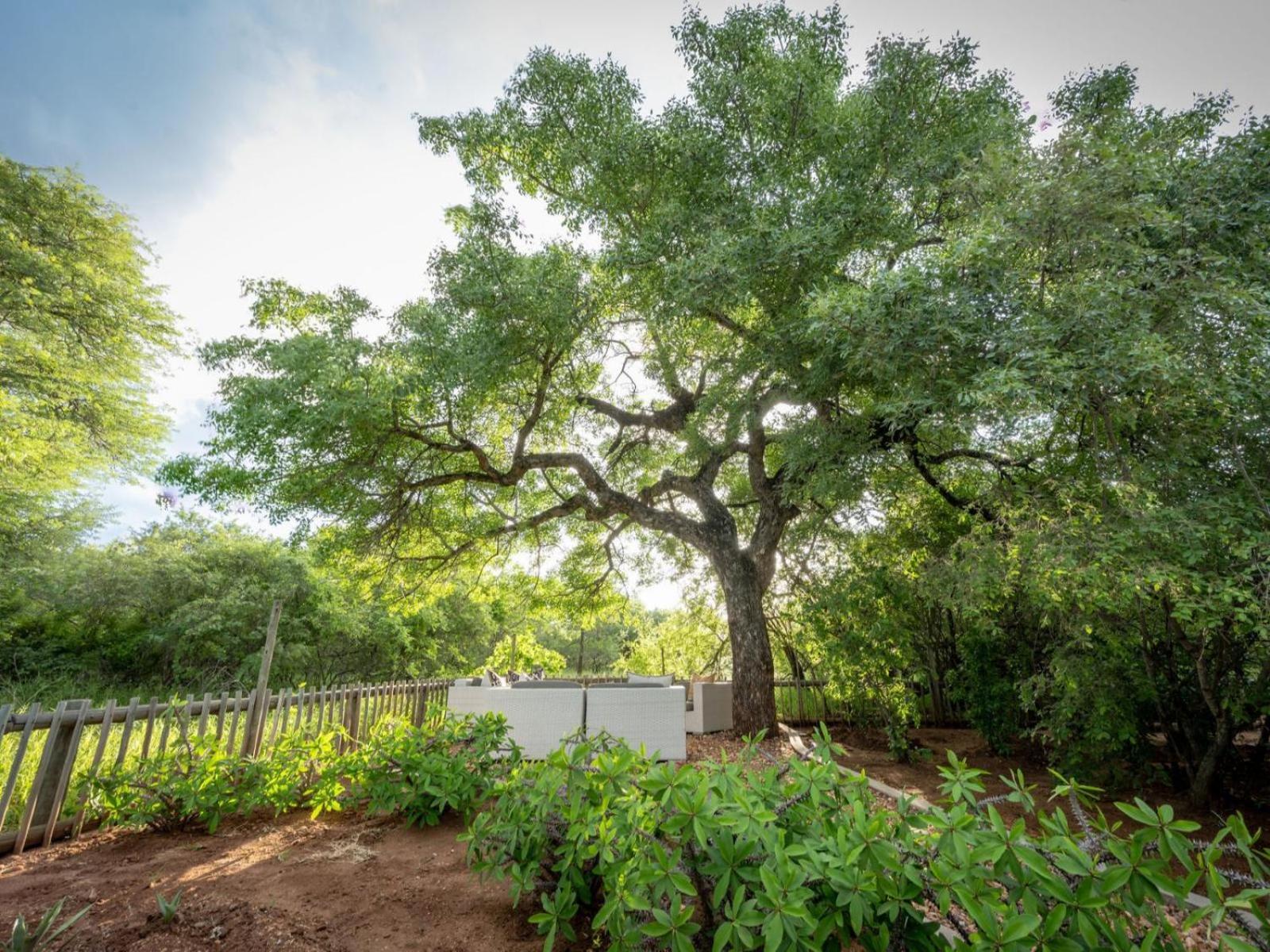 Ekhaya Bush Lodge Hoedspruit Buitenkant foto