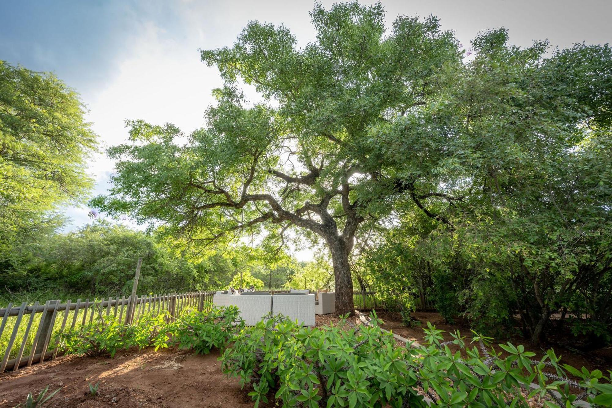 Ekhaya Bush Lodge Hoedspruit Buitenkant foto